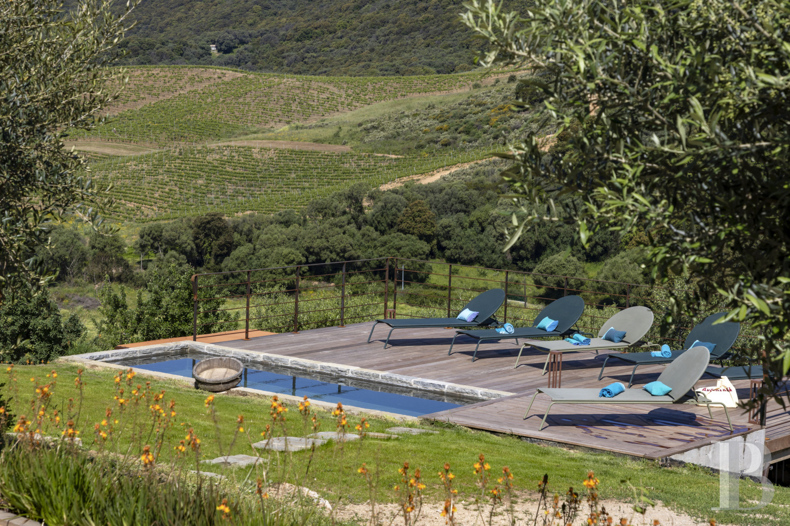 A renovated ancient wine press on the heights of Propriano, between Ajaccio and Bonifacio - photo  n°39